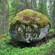 Mr-Stone avatar