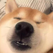 我的名字又长又帅