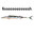 sim card fish