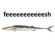 sim card fish