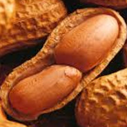 Mr. Nuts