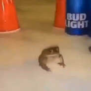 worlds smallest gay frog