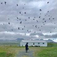 hyesospeek | дайт