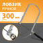 жопная плесень 3Д