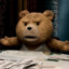 _Plush bear_