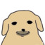 Samu
