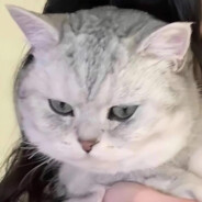 54188巴山楚水凄凉地