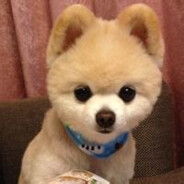 对不起我的sorry