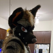 Cyrus the Hyena