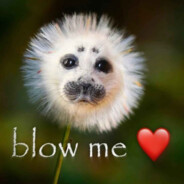 Blow me <3