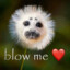 Blow me &lt;3
