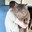 little wombat
