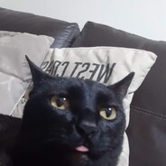 Mr.balls