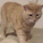 Erikku