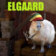 Elgaard