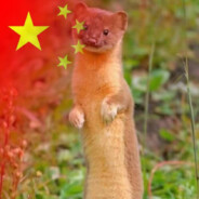 醉酒孤灯梦清秋