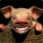 The Smiling Pig