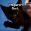 Gurt