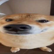 Fake_loveEPICDROP.one