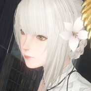 NieR