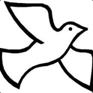 兔兔队员 TuTu Rabbit