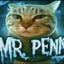 Mr. Penis