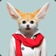 Mr. Fennec