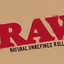 RAW.Sj