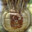 CastawayWilson