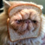 Lord Breadington