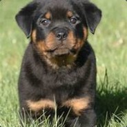 lordhuff32