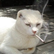 sis - steam id 76561197965823831