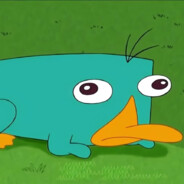 老大～我要不行了喵～