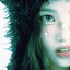 schneine
