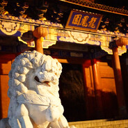 亲爱的达瓦里氏