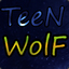 TeeN_Wolf csgofast.com