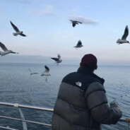 专踢瘸子那条好腿