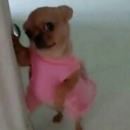 Smoked Puppy ᵐᵐ
