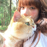 林黛玉暴打擎天柱