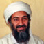 Osama Bin Balin