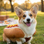 hot_dog