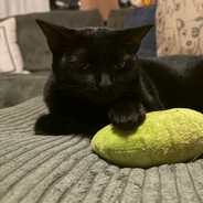 JohanKepler
