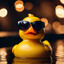 WhyDuck