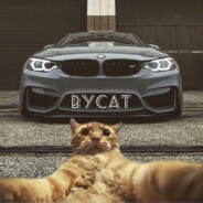 𝓑𝓨𝓒𝓐𝓽𝟐𝟖𝟓