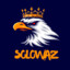 SoloWaz