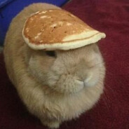 Bicmac