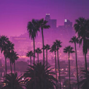 Loxley - steam id 76561198350567265