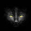 MadCat