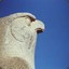 HORUS