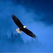 九年回首奈若何